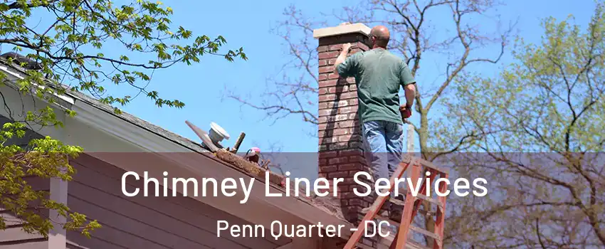 Chimney Liner Services Penn Quarter - DC