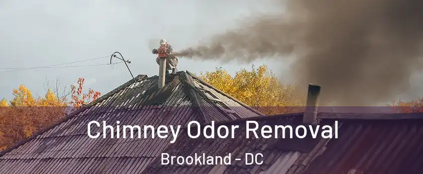 Chimney Odor Removal Brookland - DC