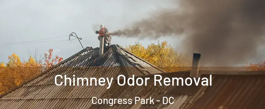 Chimney Odor Removal Congress Park - DC