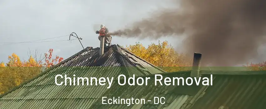 Chimney Odor Removal Eckington - DC