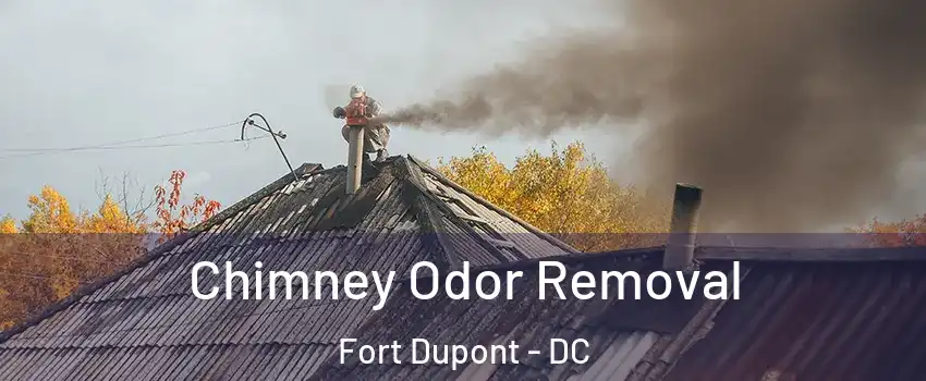 Chimney Odor Removal Fort Dupont - DC