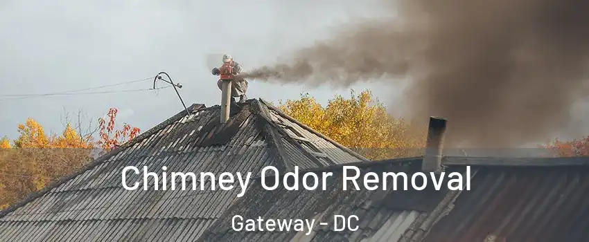 Chimney Odor Removal Gateway - DC