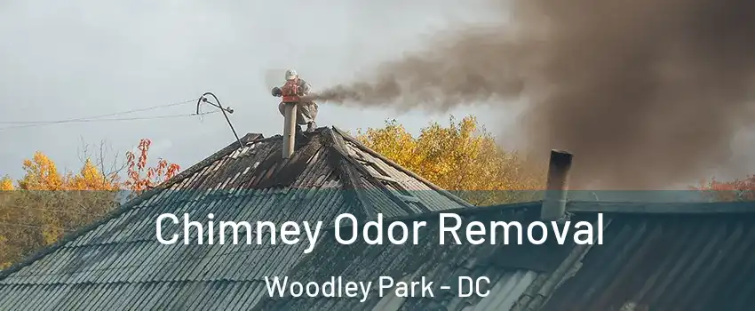 Chimney Odor Removal Woodley Park - DC