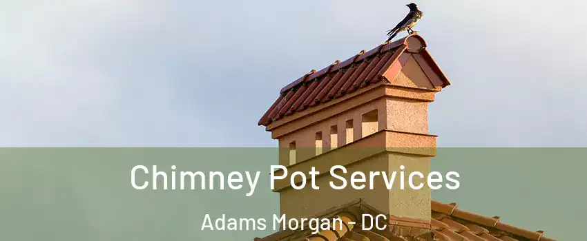 Chimney Pot Services Adams Morgan - DC