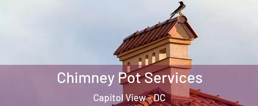 Chimney Pot Services Capitol View - DC