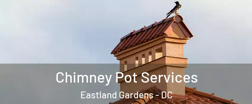 Chimney Pot Services Eastland Gardens - DC