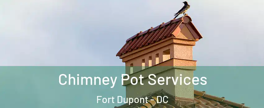 Chimney Pot Services Fort Dupont - DC
