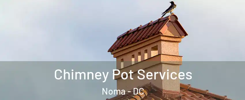 Chimney Pot Services Noma - DC