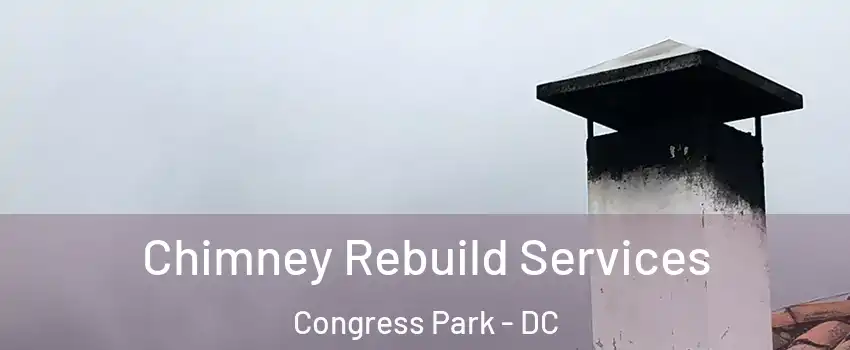 Chimney Rebuild Services Congress Park - DC