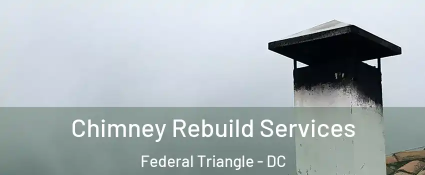 Chimney Rebuild Services Federal Triangle - DC