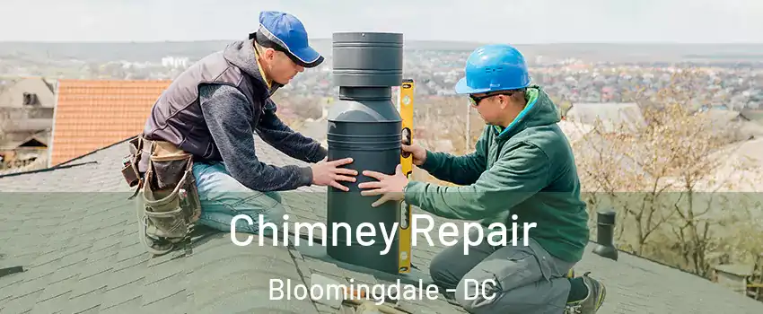 Chimney Repair Bloomingdale - DC