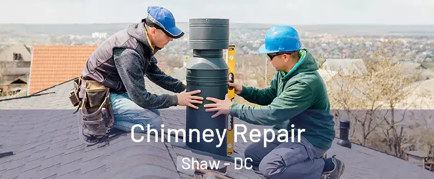 Chimney Repair Shaw - DC