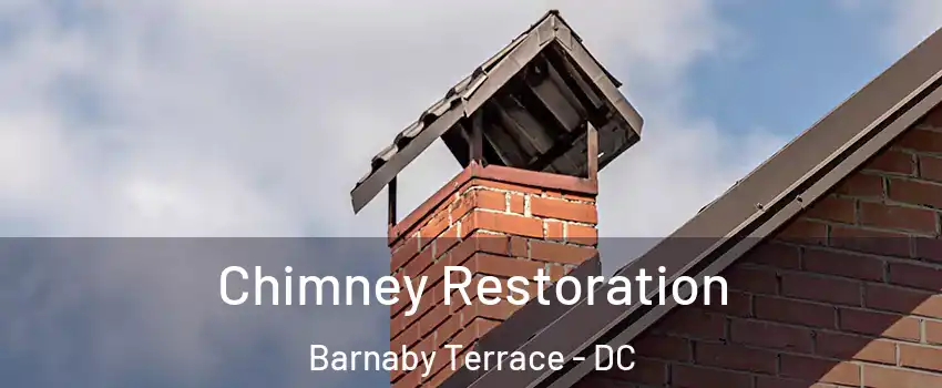 Chimney Restoration Barnaby Terrace - DC