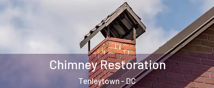 Chimney Restoration Tenleytown - DC