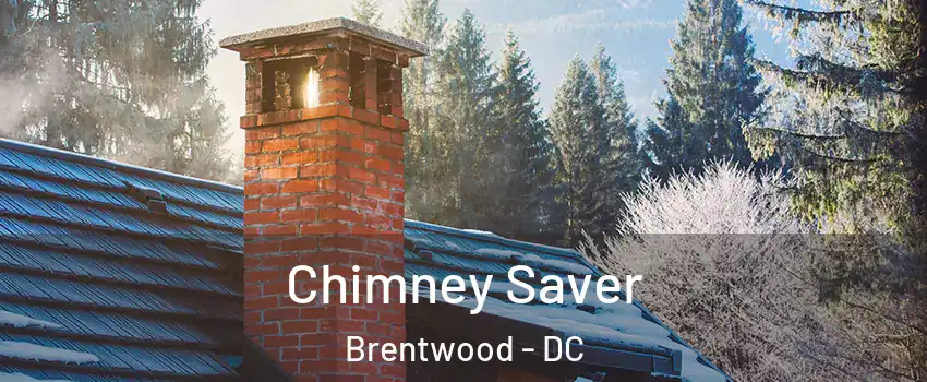 Chimney Saver Brentwood - DC