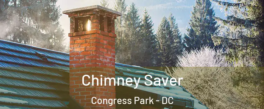 Chimney Saver Congress Park - DC