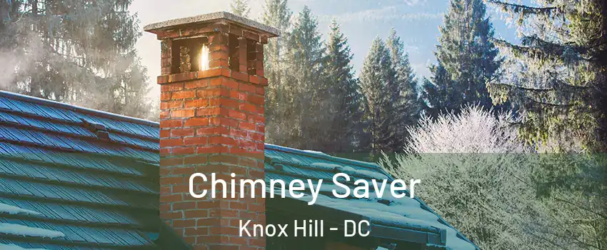 Chimney Saver Knox Hill - DC