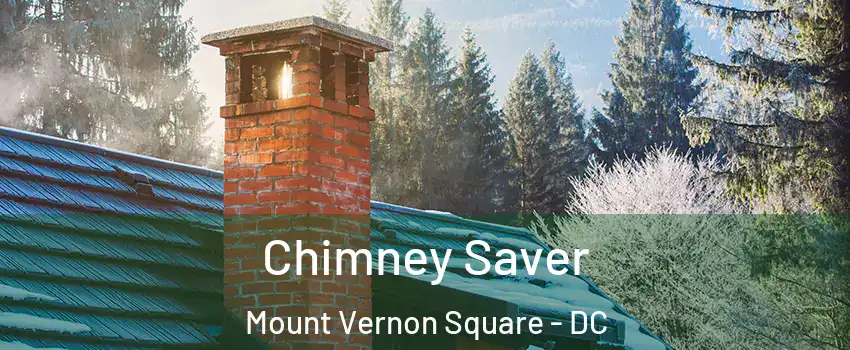 Chimney Saver Mount Vernon Square - DC