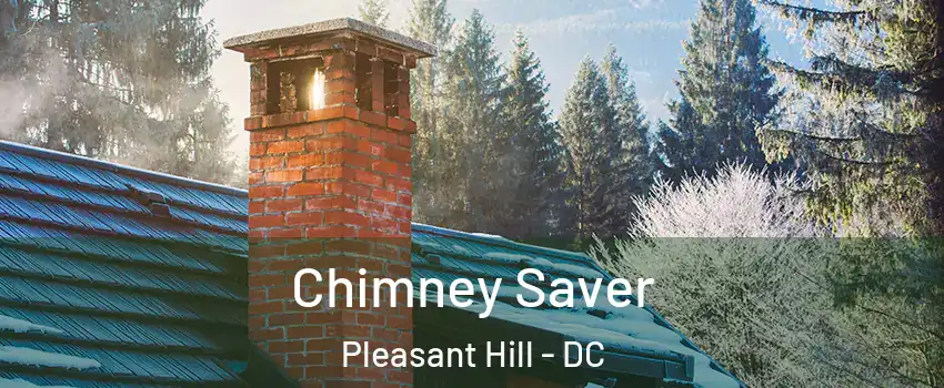 Chimney Saver Pleasant Hill - DC