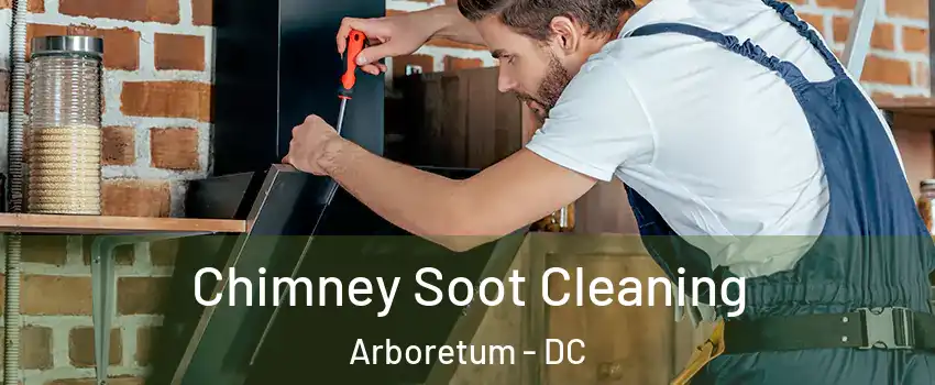 Chimney Soot Cleaning Arboretum - DC