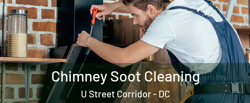 Chimney Soot Cleaning U Street Corridor - DC