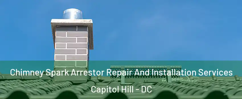 Chimney Spark Arrestor Repair And Installation Services Capitol Hill - DC