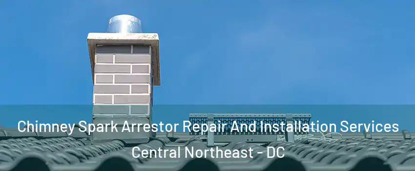 Chimney Spark Arrestor Repair And Installation Services Central Northeast - DC