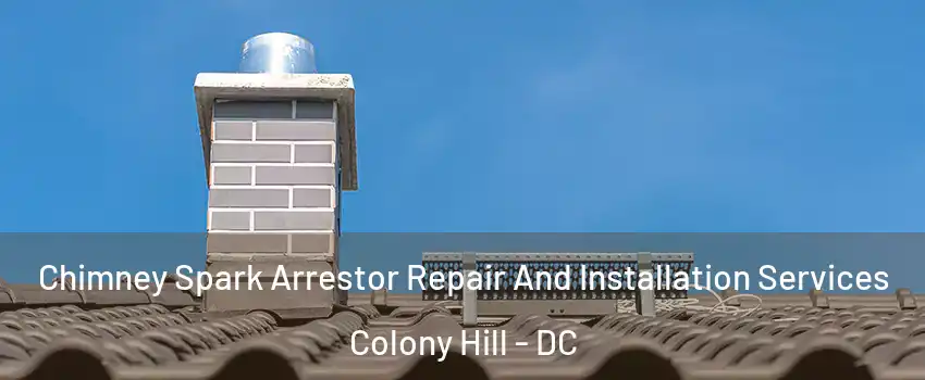 Chimney Spark Arrestor Repair And Installation Services Colony Hill - DC