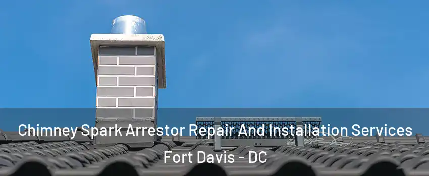 Chimney Spark Arrestor Repair And Installation Services Fort Davis - DC