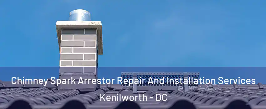 Chimney Spark Arrestor Repair And Installation Services Kenilworth - DC