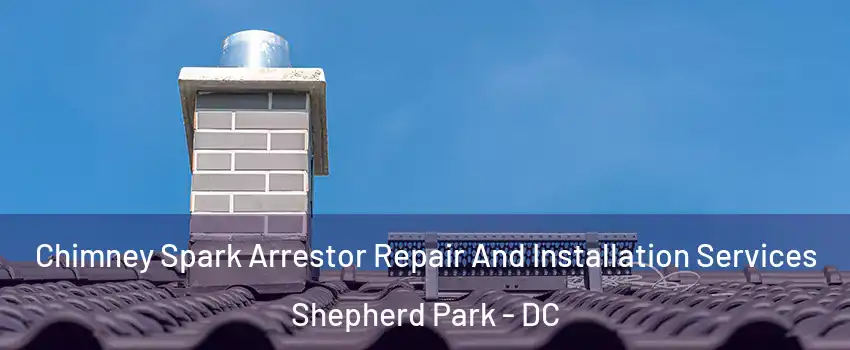 Chimney Spark Arrestor Repair And Installation Services Shepherd Park - DC