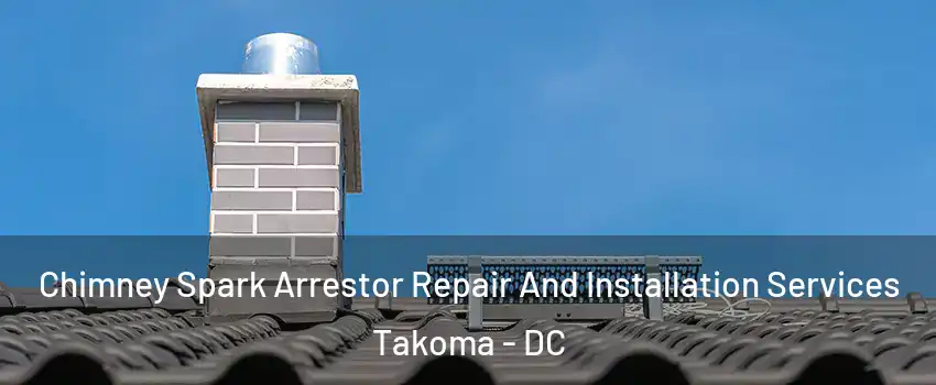Chimney Spark Arrestor Repair And Installation Services Takoma - DC