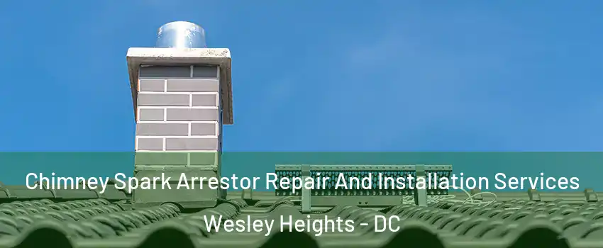 Chimney Spark Arrestor Repair And Installation Services Wesley Heights - DC