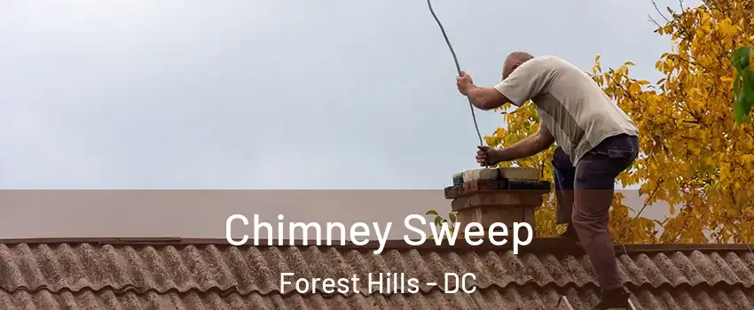 Chimney Sweep Forest Hills - DC