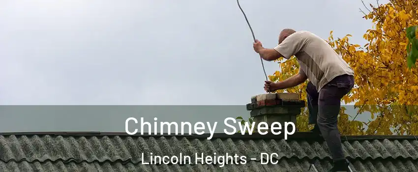 Chimney Sweep Lincoln Heights - DC