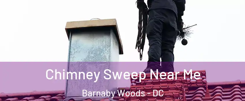 Chimney Sweep Near Me Barnaby Woods - DC