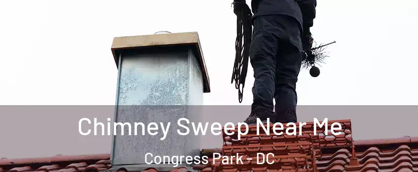 Chimney Sweep Near Me Congress Park - DC