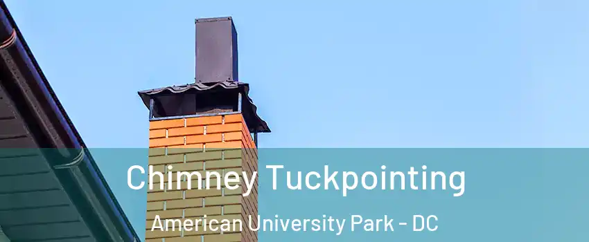 Chimney Tuckpointing American University Park - DC