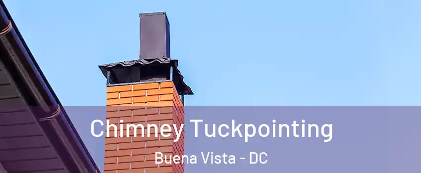 Chimney Tuckpointing Buena Vista - DC