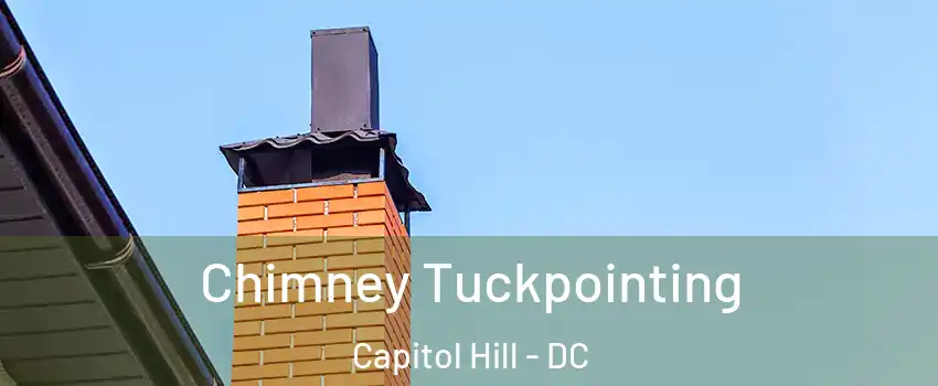 Chimney Tuckpointing Capitol Hill - DC
