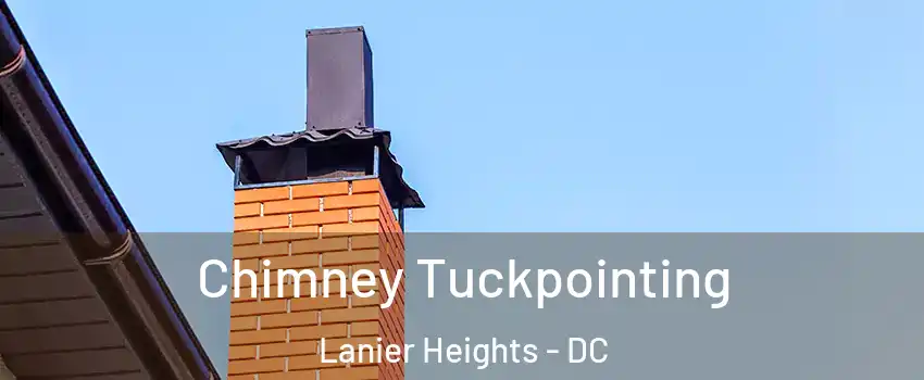 Chimney Tuckpointing Lanier Heights - DC