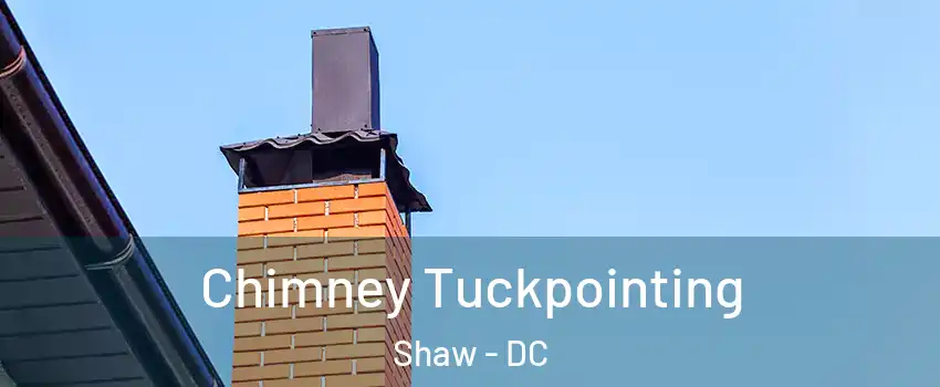 Chimney Tuckpointing Shaw - DC