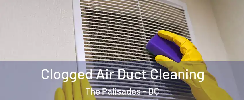 Clogged Air Duct Cleaning The Palisades - DC
