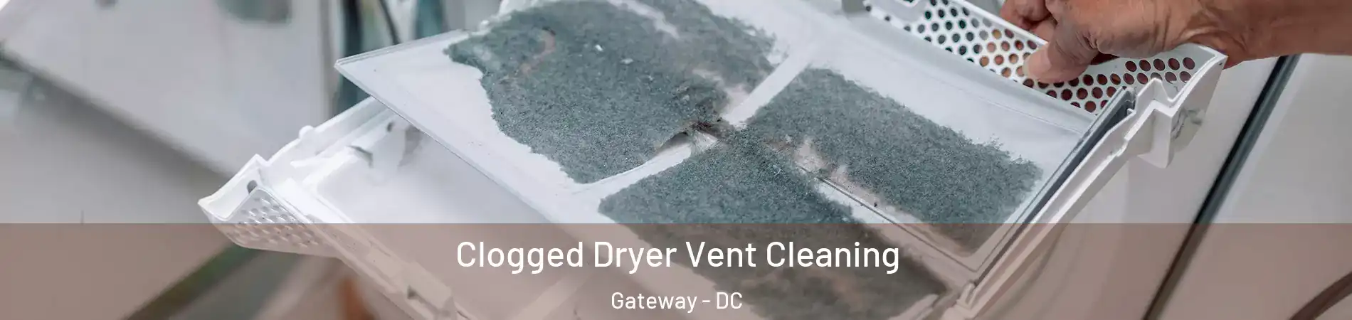 Clogged Dryer Vent Cleaning Gateway - DC