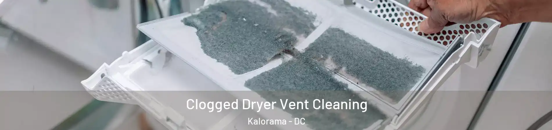 Clogged Dryer Vent Cleaning Kalorama - DC