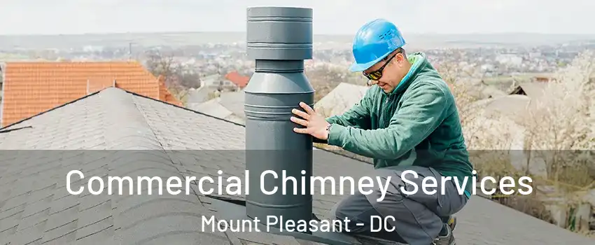 Commercial Chimney Services Mount Pleasant - DC