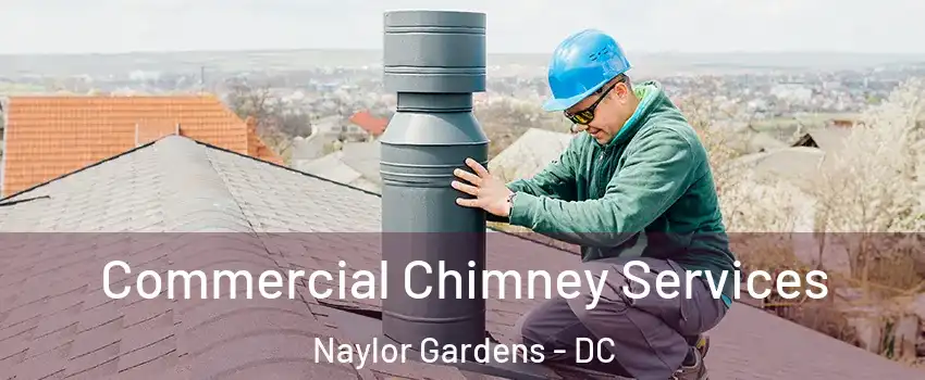 Commercial Chimney Services Naylor Gardens - DC