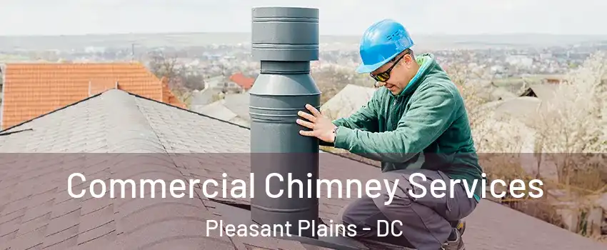 Commercial Chimney Services Pleasant Plains - DC