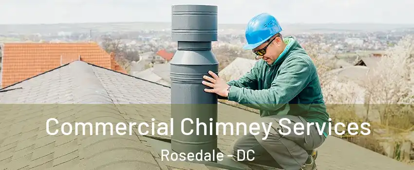 Commercial Chimney Services Rosedale - DC