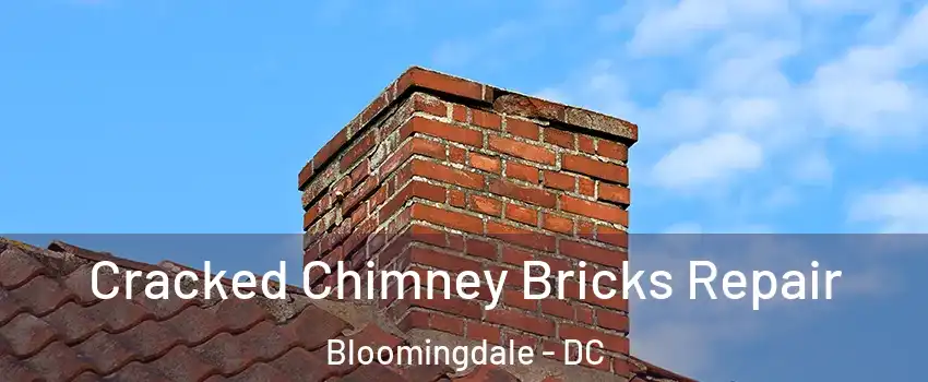 Cracked Chimney Bricks Repair Bloomingdale - DC